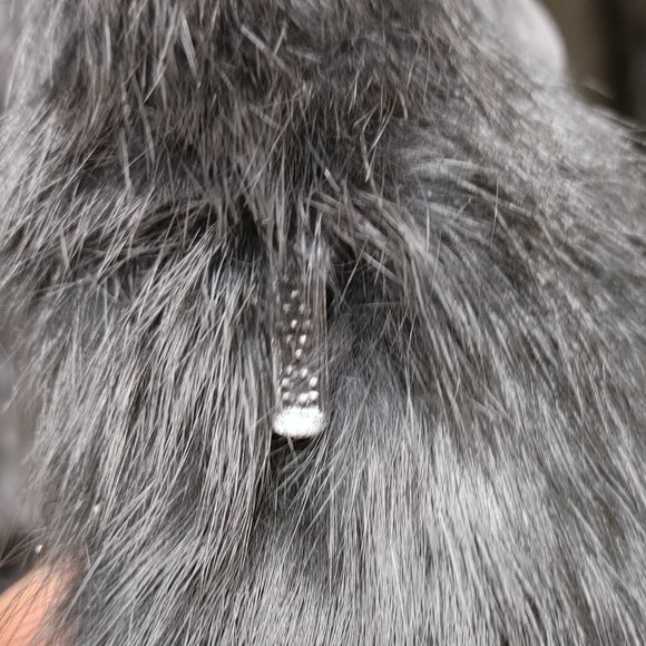 SOMERSET FURS BLACK 100% PURE RABBIT COAT SIZE LARGE - Picture 6 of 7